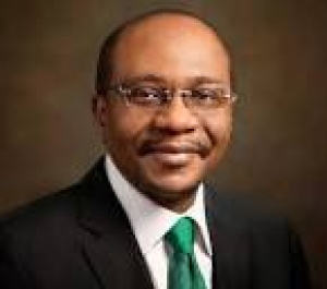 CBN AND EMEFIELE TO BE PROBED