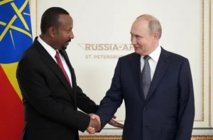 AFRICAN LEADERS SNUB PUTIN INVITATION