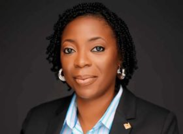 MS AGBEDE NAMED AS ACTING GROUP CHIEF EXECUTIVE OFFICER OF ACCESS HOLDINGS PLC