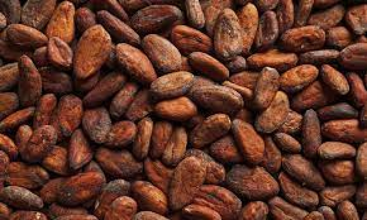 COCOA PRICE ESCALATE AT THE WORD MAEKET